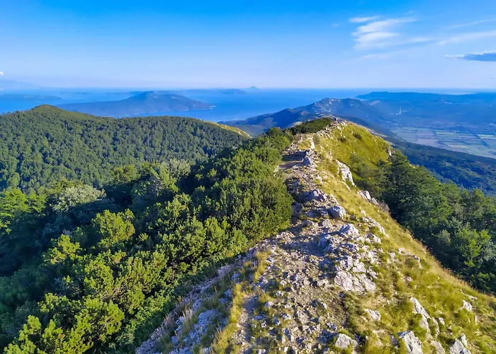 Lilly 1 By Interhome Laurana